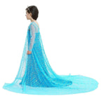 Frozen Elsa Costume Long Sleeve Girl Party Princess Dress - Azufun