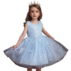 Children's Mesh Summer Dress Princess Dress Girls Performance Costume Flower Tutu Dress