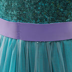 Girls Mermaid Princess Dresses Lace Tutu Costume for Kids